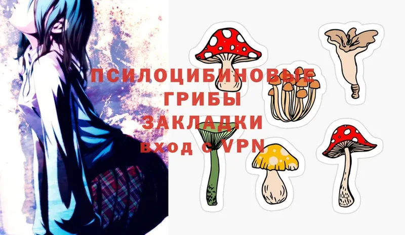 Псилоцибиновые грибы Magic Shrooms  мега ТОР  Зеленогорск 